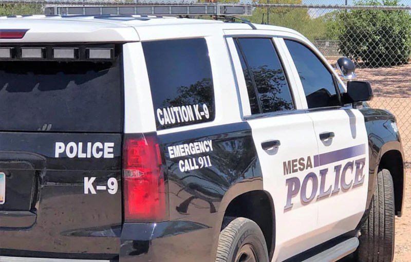 Mesa Police