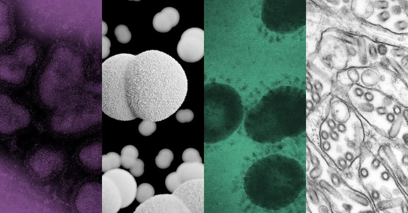 graphic of coronavirus