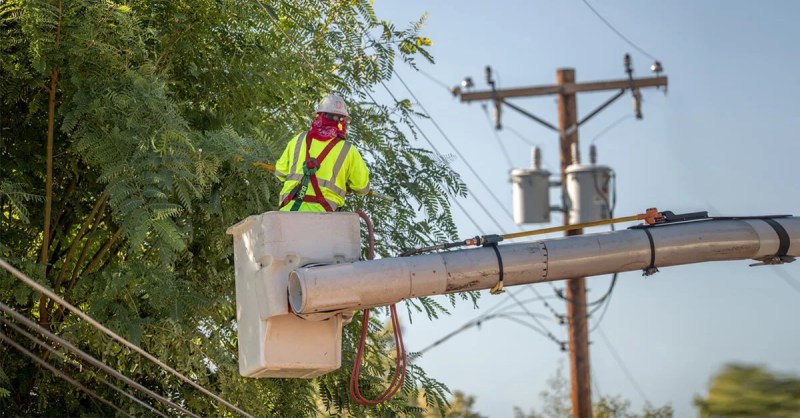 utility worker in cherry picker up near tree