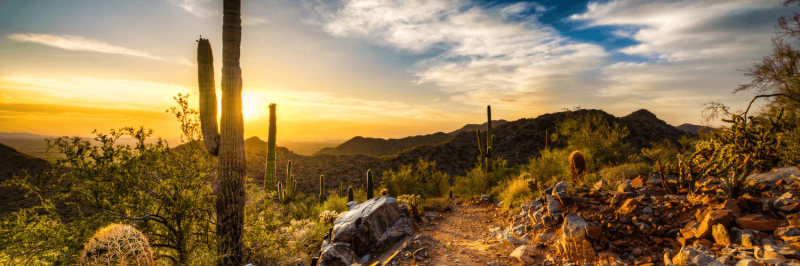 How Much Do You Know About Arizona's Movie History?