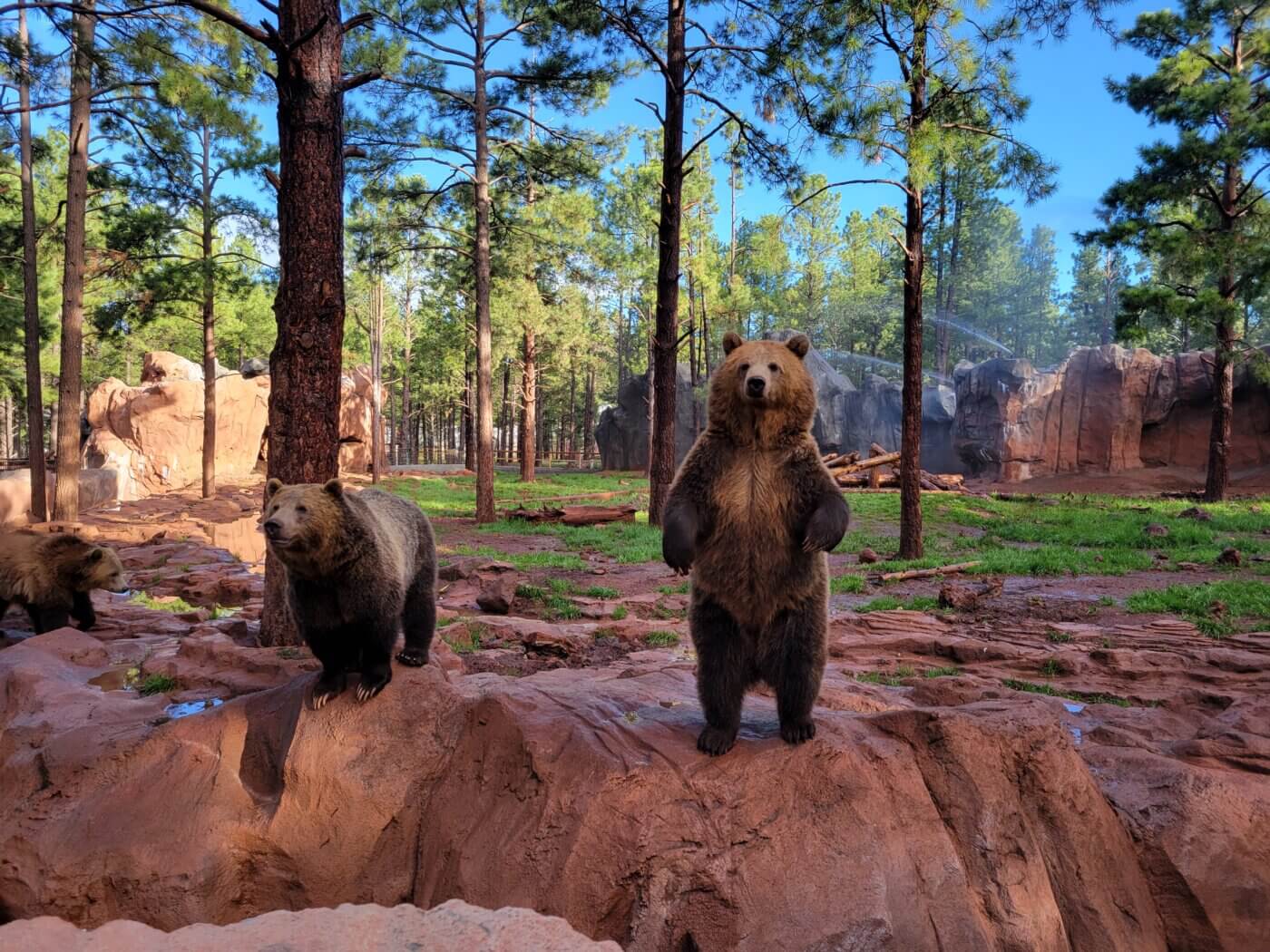 6 Arizona Adventure Parks Worthy of a Family Road Trip