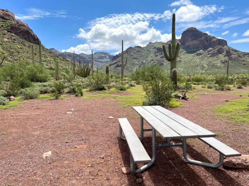 Great Spots for Cozy Winter Camping in Arizona