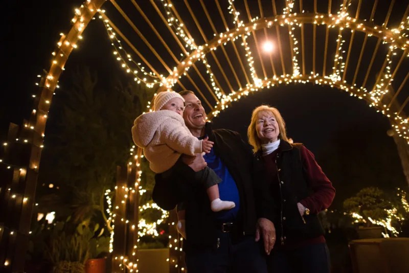 Twinkle towns: Your holiday light display guide for Phoenix & Tucson