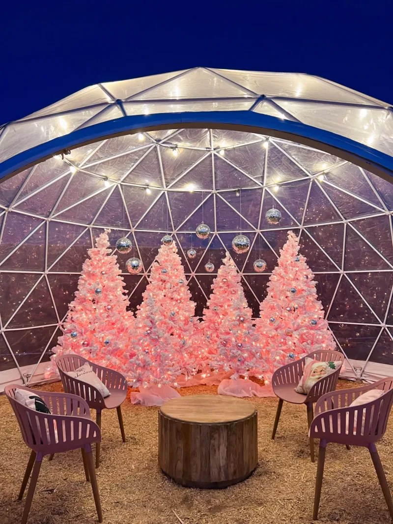 Twinkle towns: Your holiday light display guide for Phoenix & Tucson