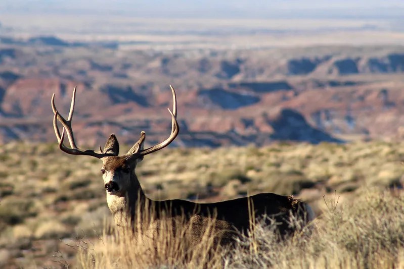 12 Places in Arizona That Feel Otherworldly