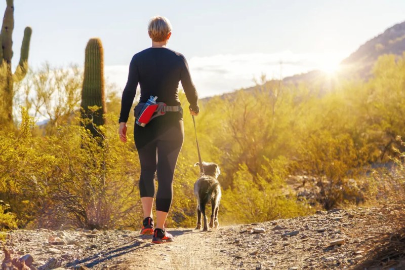 4 pet-friendly adventures in the Valley to try this spring