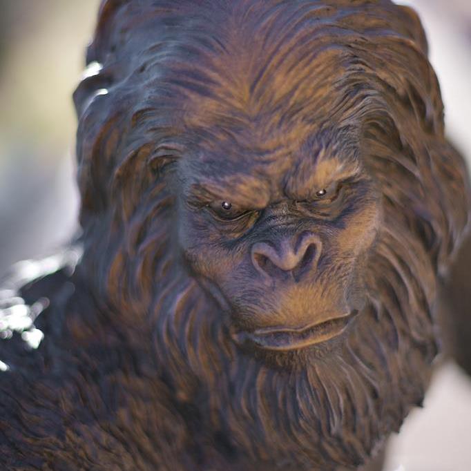 The Mogollon Monster