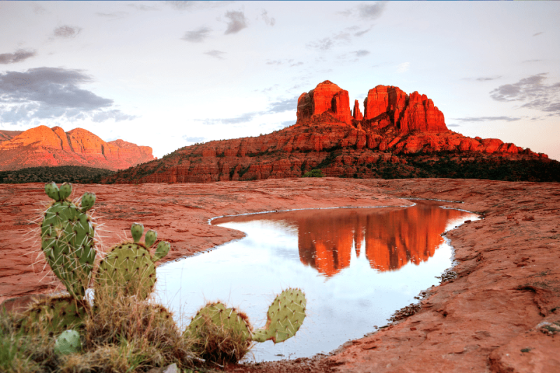 A beautiful red mesa reflecting in a lake, surrounded by cacti.