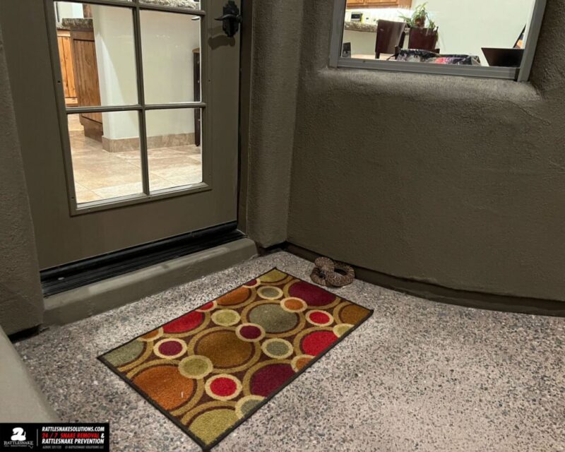 Meet Bryan D. Hughes, Phoenix’s ‘Rattlesnake Guy’