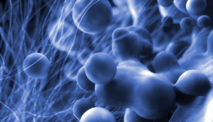 U of A Researchers Develop the World’s Fastest Electron Microscope