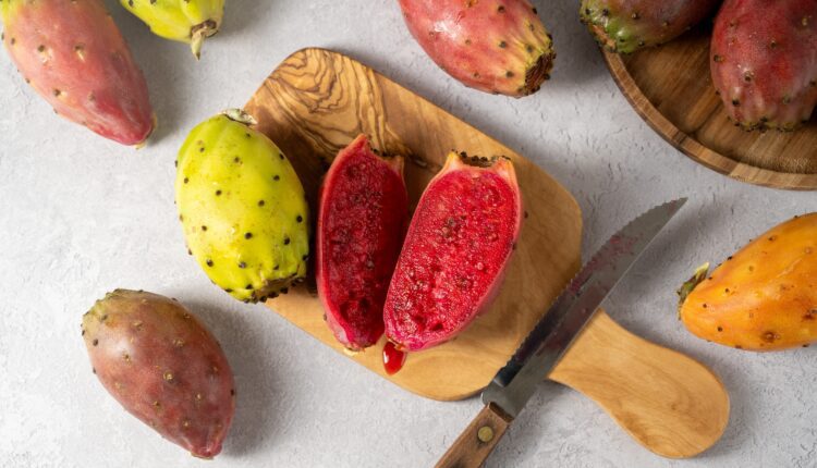 16 edible & medicinal plants in Arizona