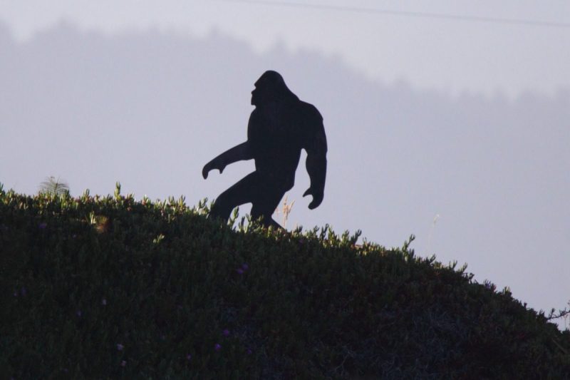 Big Foot or Sasquatch walking up a hill against a white background.