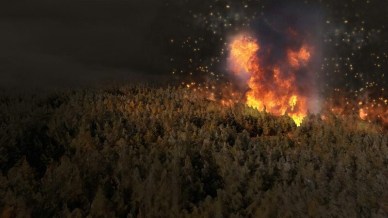 University of Arizona finds fewer forest fires lead to worse blazes