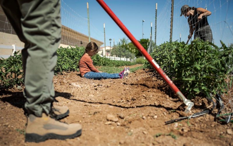 child sitting on ground as man hoes farmland