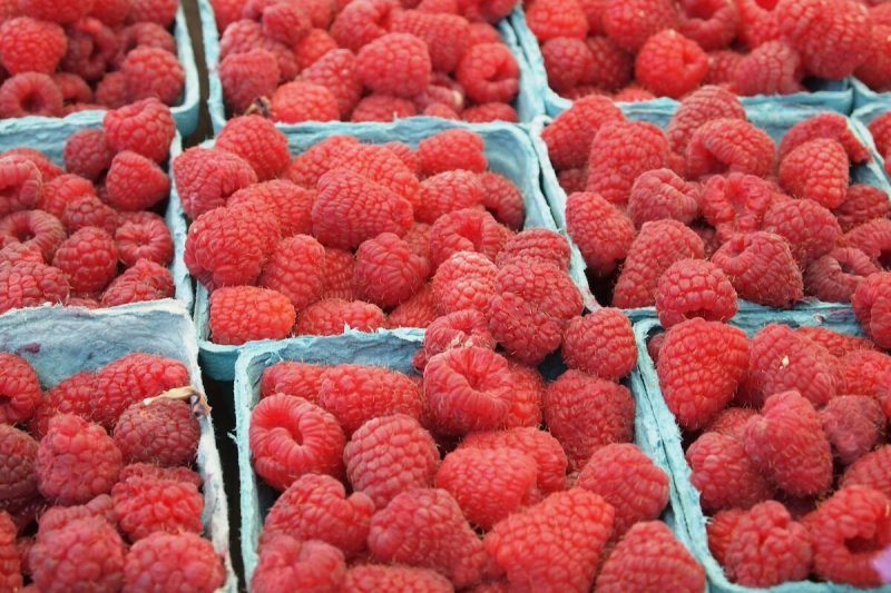 cartons of raspberries