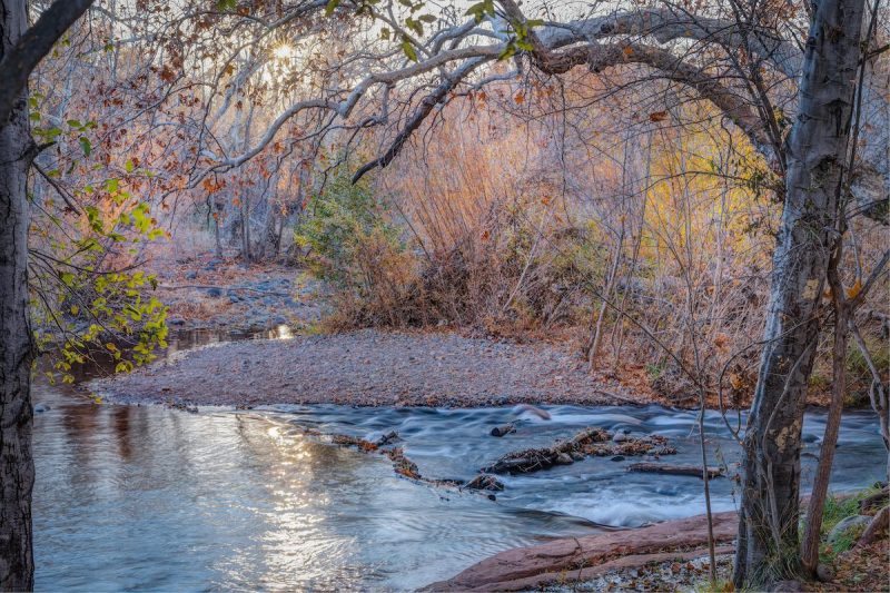fall leaves over a body of water