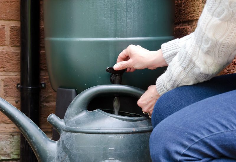 woman filling watering can from tank