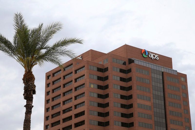 A palm tree stands in front of the Arizona Public Service utility company in Phoenix