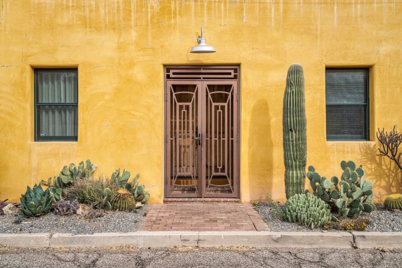 the front of a yellow home with two windows, a brown door, and green cacti