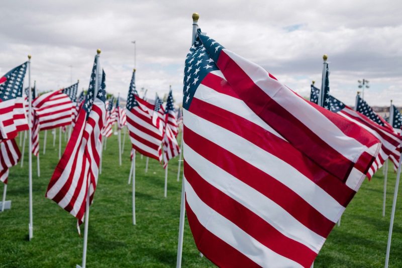 field full of American flags