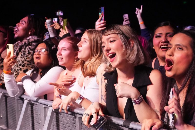 fans cheering for a band at a barrier