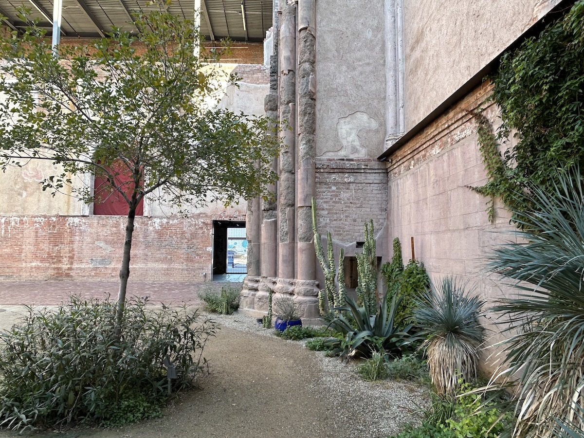 trees, bushes, and wall-clinging plants with green leaves inside of a brick courtyard